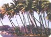 Kerala Tour India