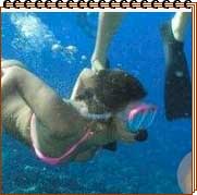 Scuba Diving and Snorkeling in India
