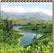 Munnar, Kerala Tour