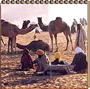 Speciality Tours of India