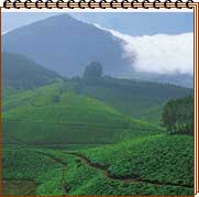 Hill Stations in India
