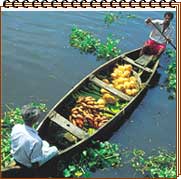 Backwaters of Kerala