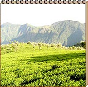 Coonoor Tourism