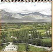 Ladakhi festival