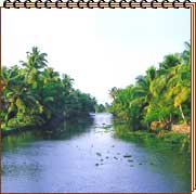 Kerala Backwaters Tour, Kerala Backwater Tour Booking