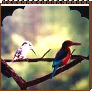 Palace on Wheels Destinations - Bharatpur