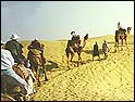 Desert Tour India